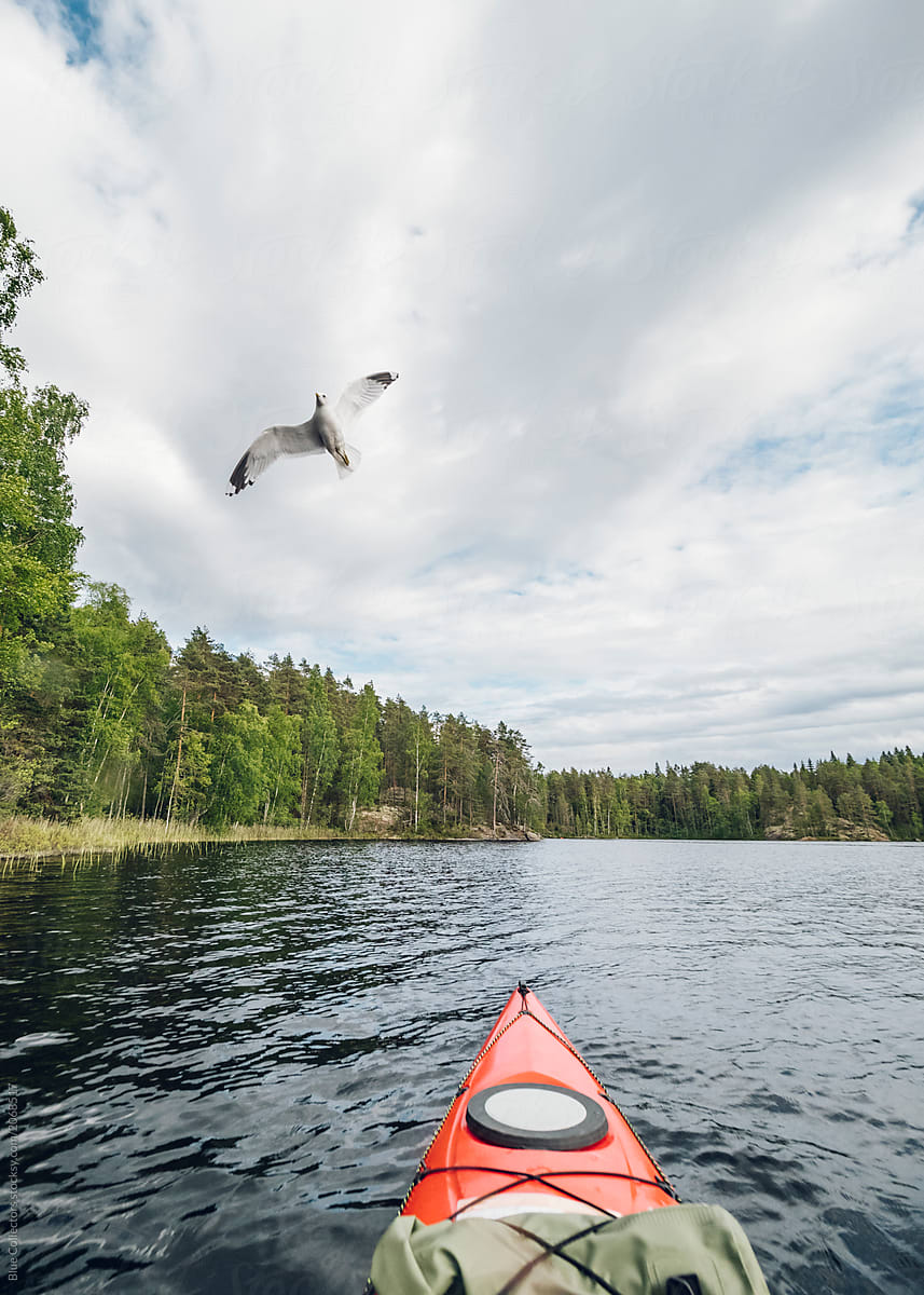Kayaking On A Calm Lake Of Finland Del Colaborador De Stocksy Blue Collectors Stocksy