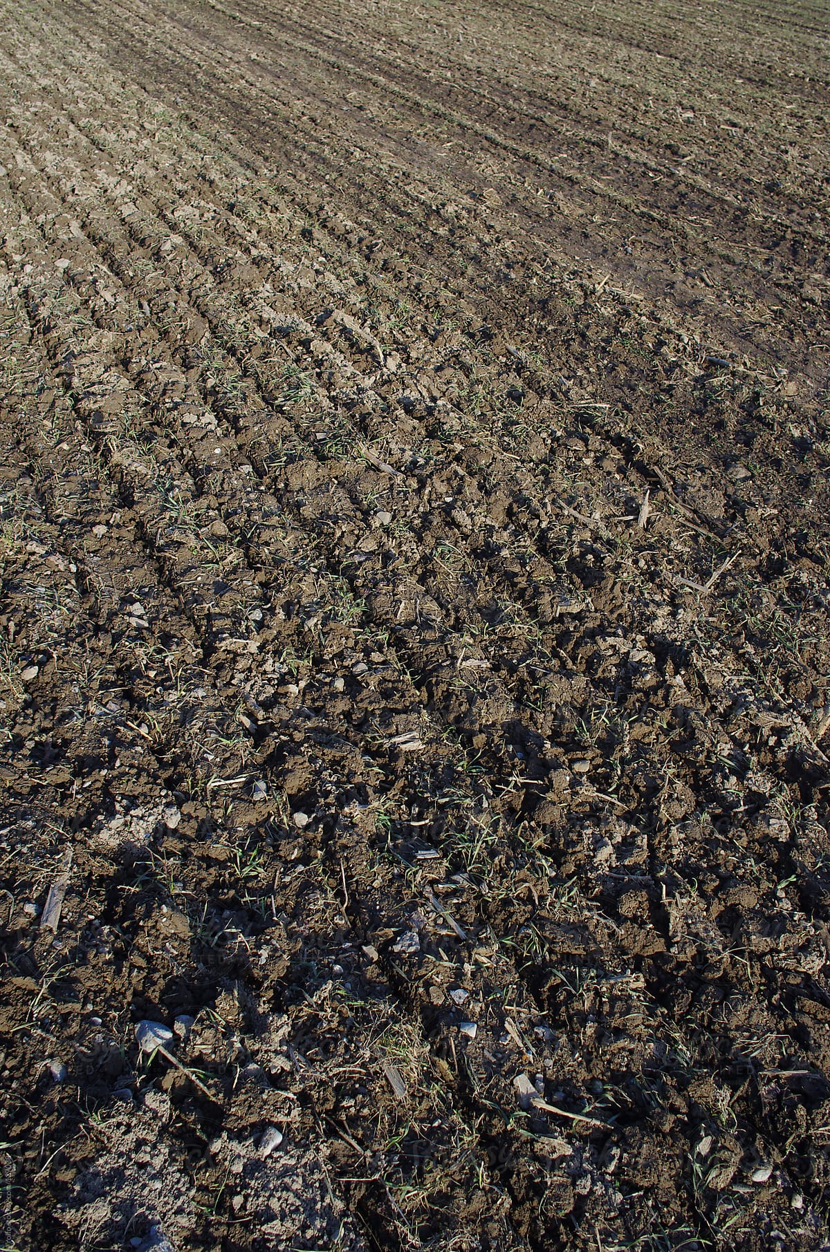 Newly ploughed agricultural field