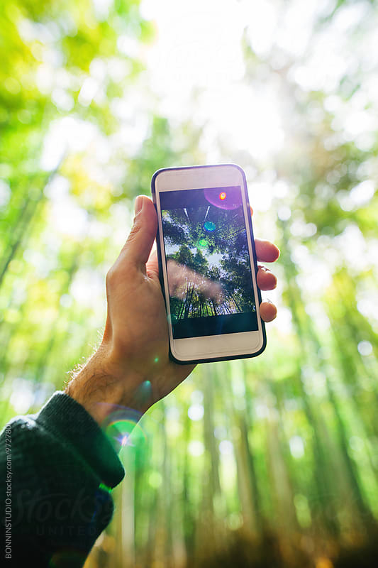 Man taking a photo with his smartphone of the bamboo forest.
