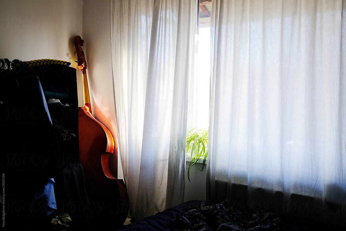 Sunny room with double bass