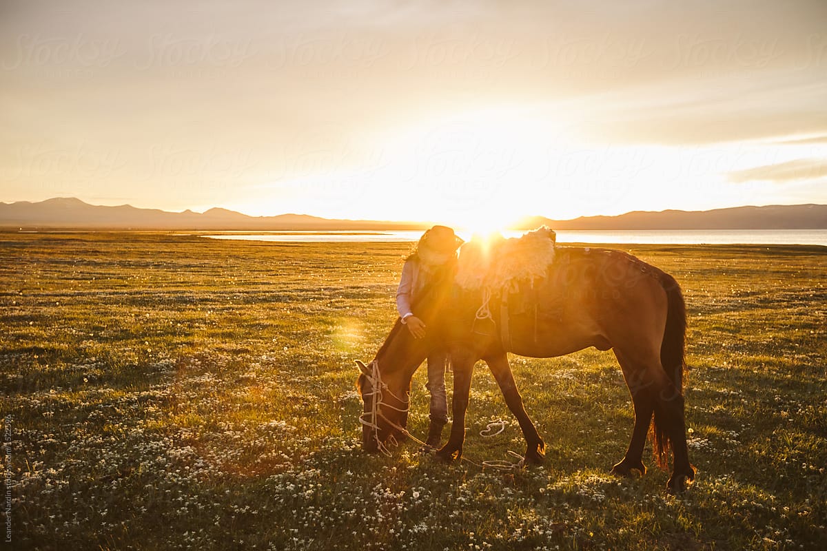 cowgirl hugging her horse on a blooming meadow at sunset