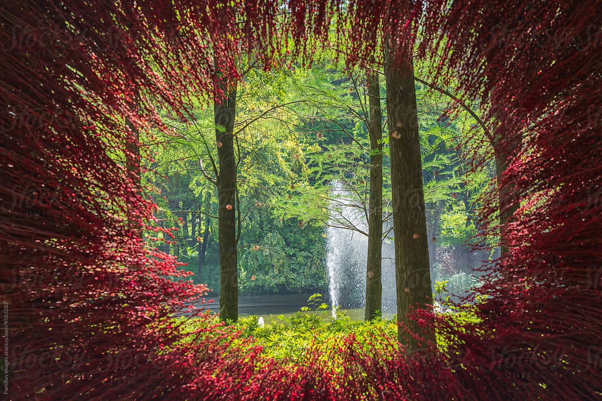 Forest fountain landscape in the park