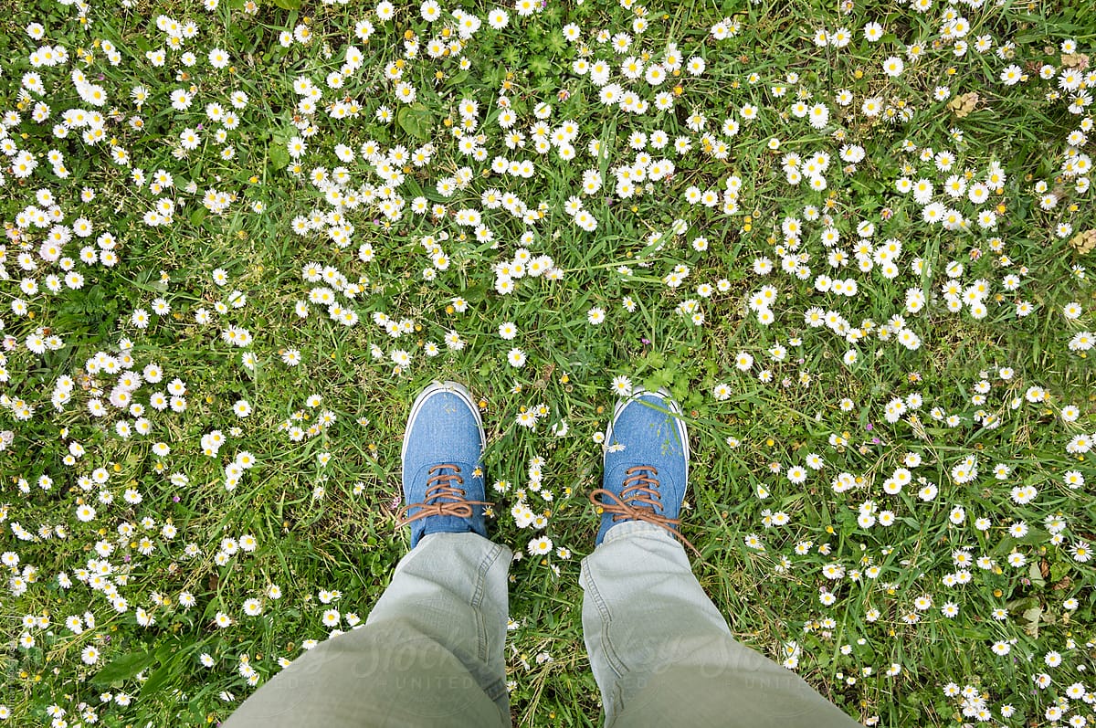 Blue sneakers on daisy meadow, spring footsie, personal perspective