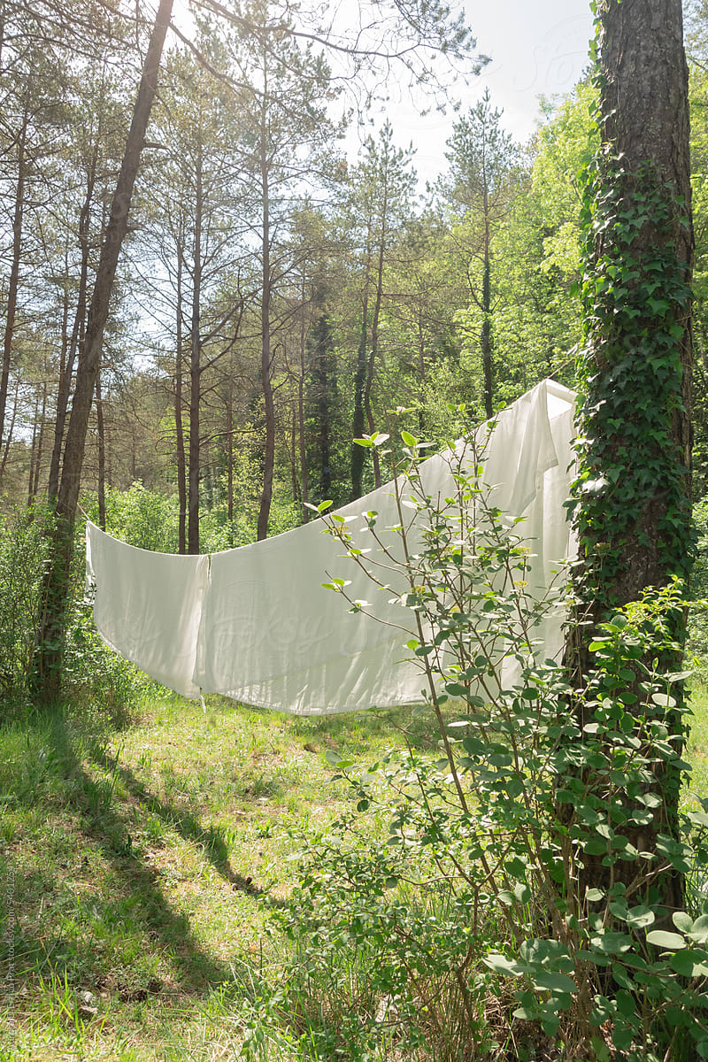 Sheets hanging in the woods