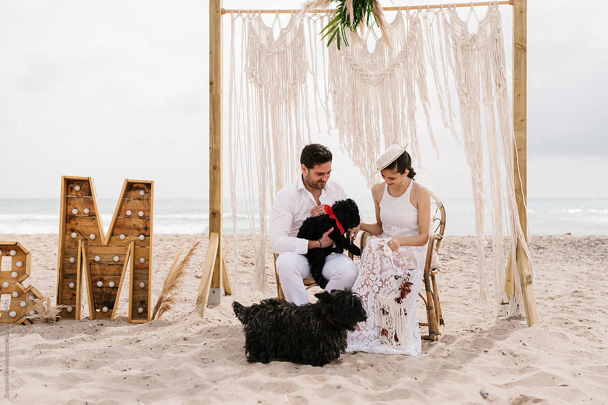 Newlyweds with cute dogs on seashore