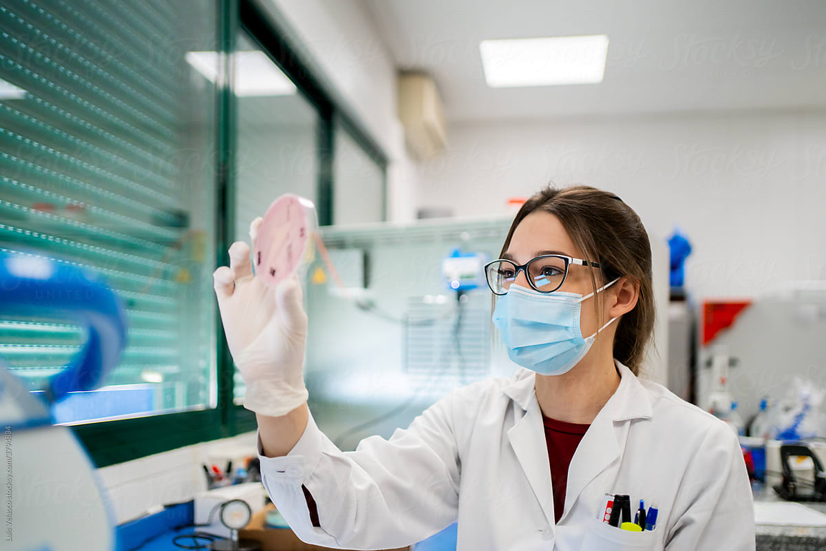 Woman Scientist Observing A Petri Dish In A Laboratory.