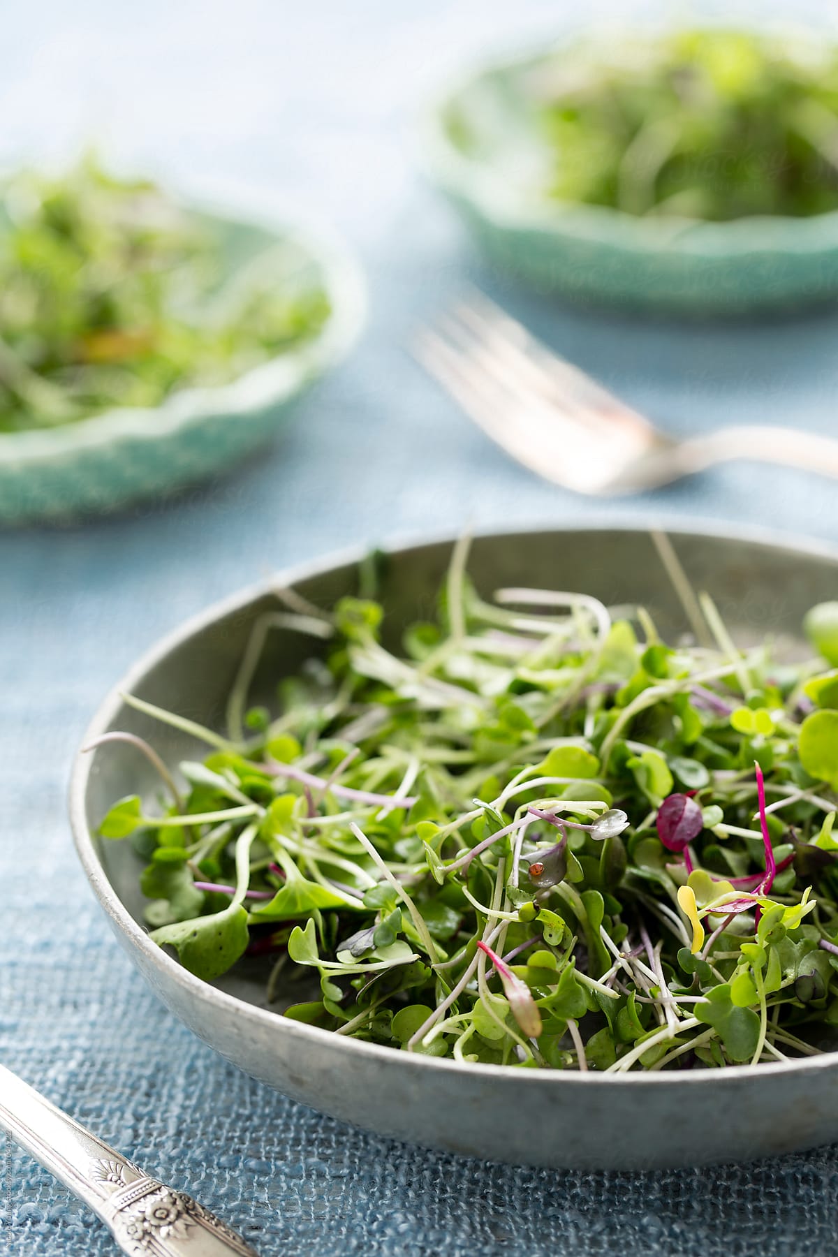 "Microgreen Salad" by Stocksy Contributor "Nicolesy, Inc." - Stocksy
