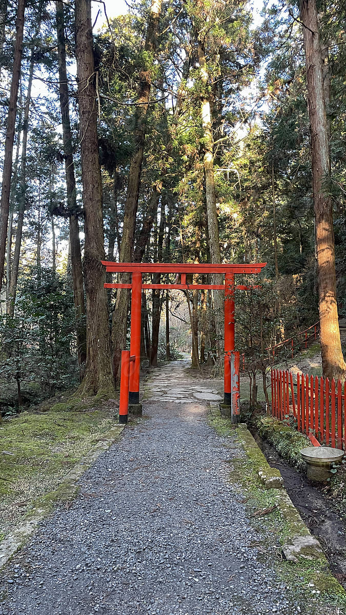 Red wood traditional Japanese gate  in the forest in Japan in spring