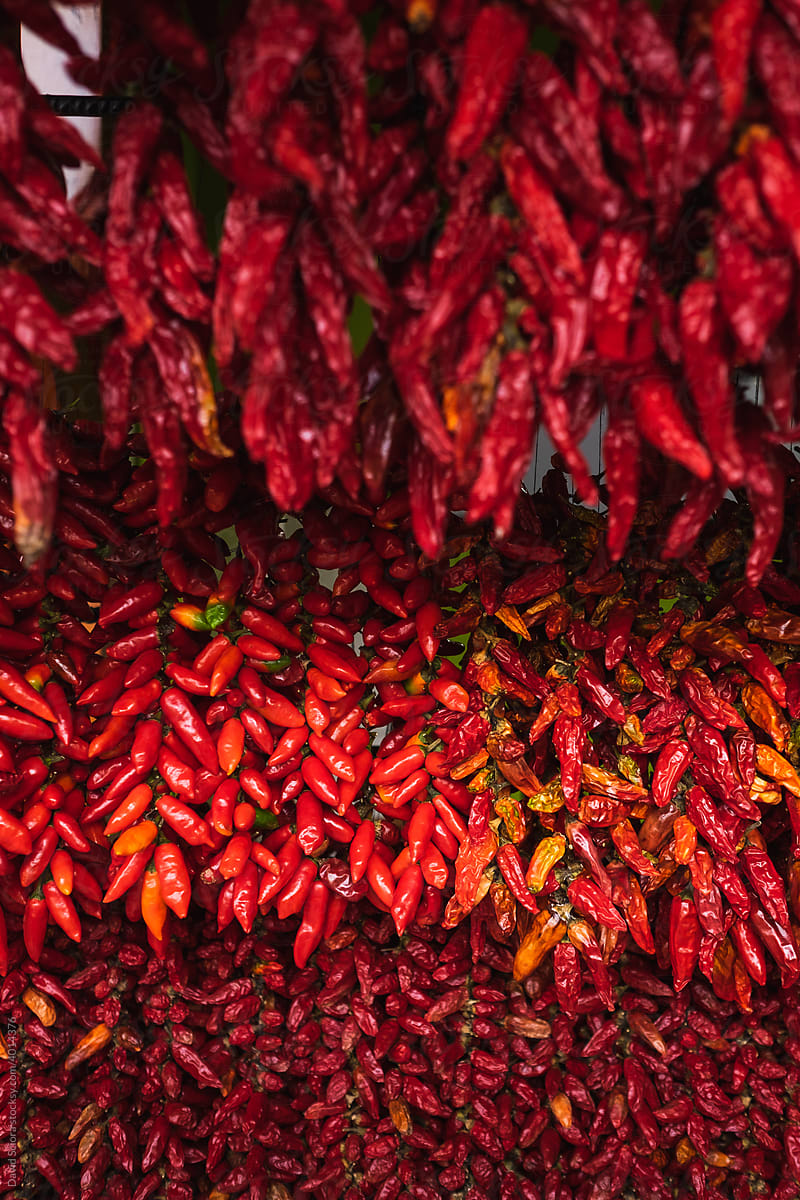 Dried red chilli peppers hanging in the food market