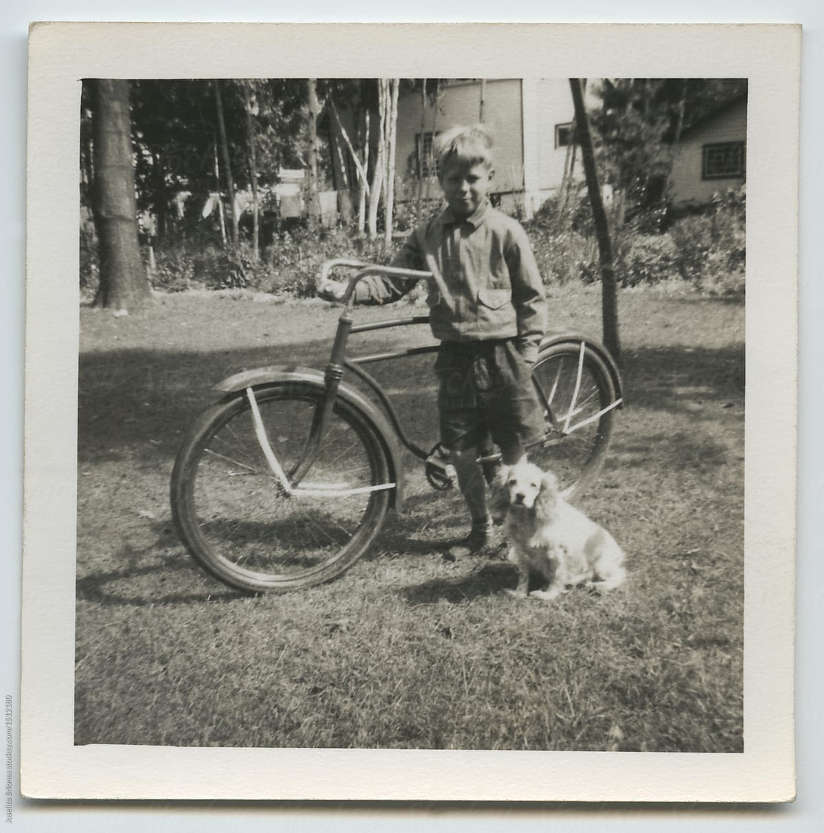 A boy and his pet dog pose for a photo with his bicycle