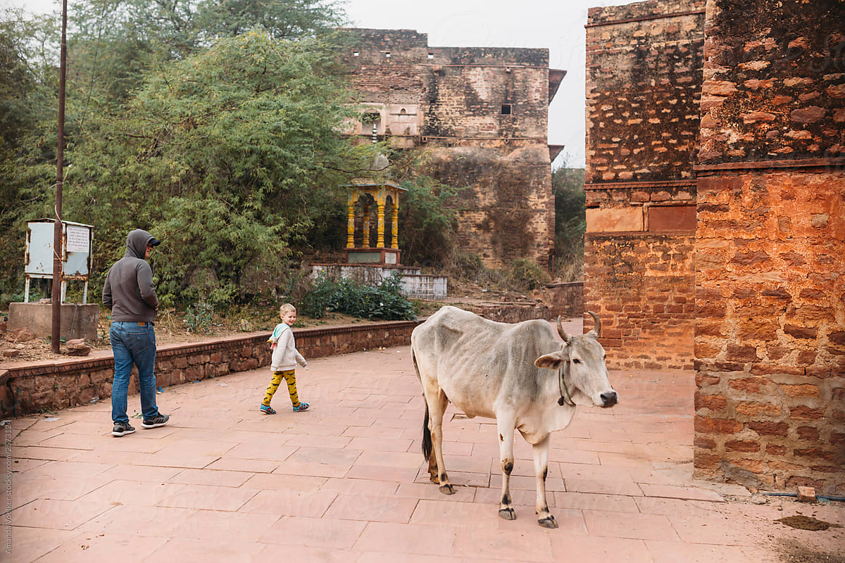 A father, son and cow in a rural temple in Dholpur, india