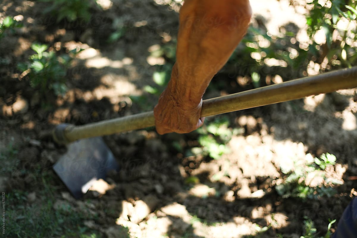 Male hand holding a tool for garden works