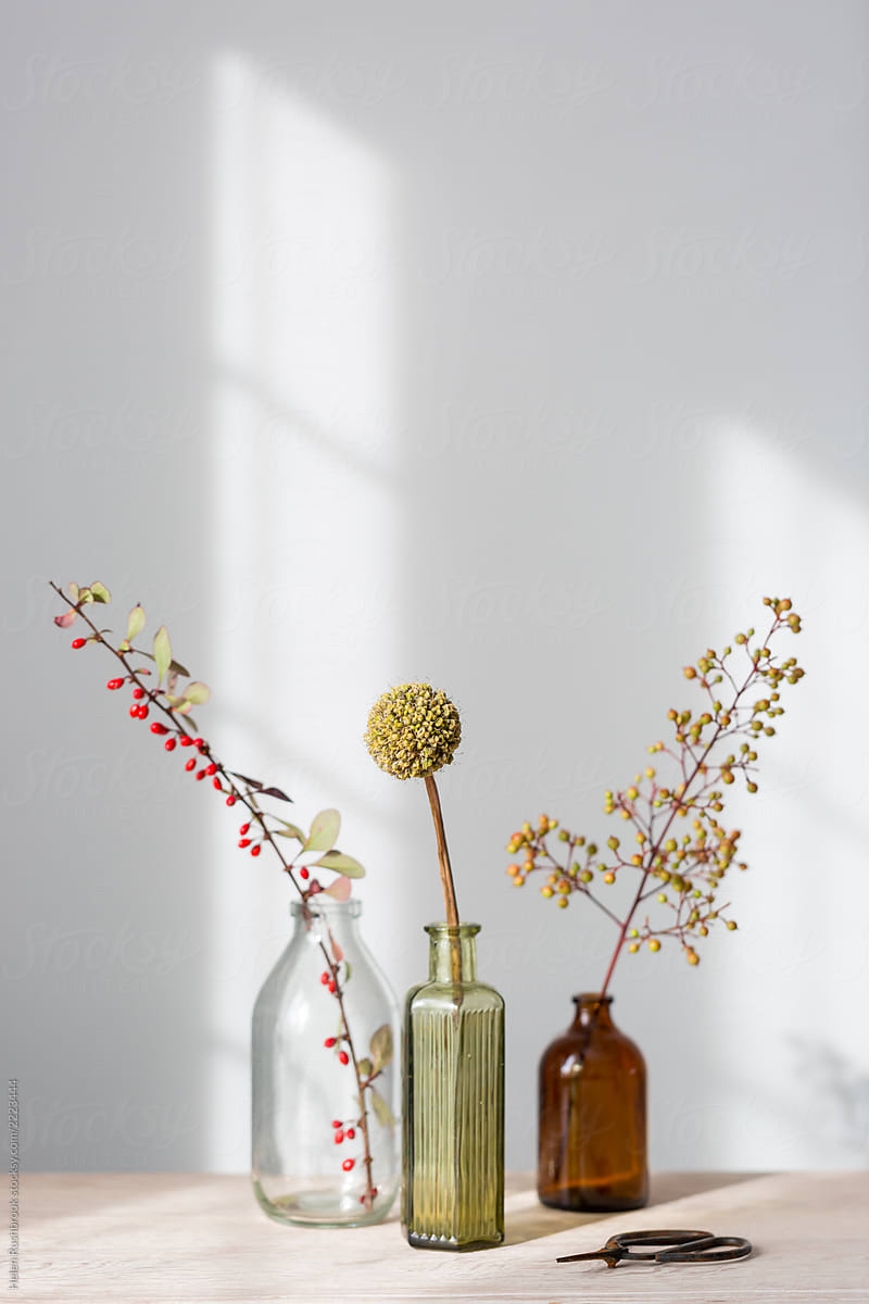 Vintage glass medicine bottles with dried grasses, berries and seed heads from the autumn garden. Still life.