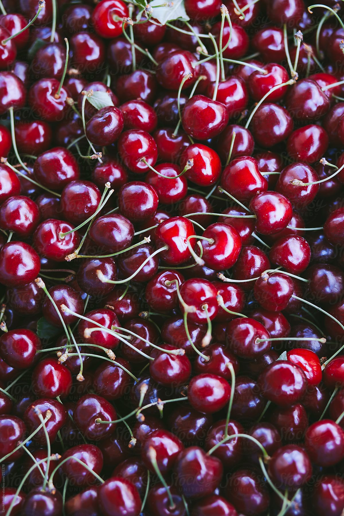 Cherry background