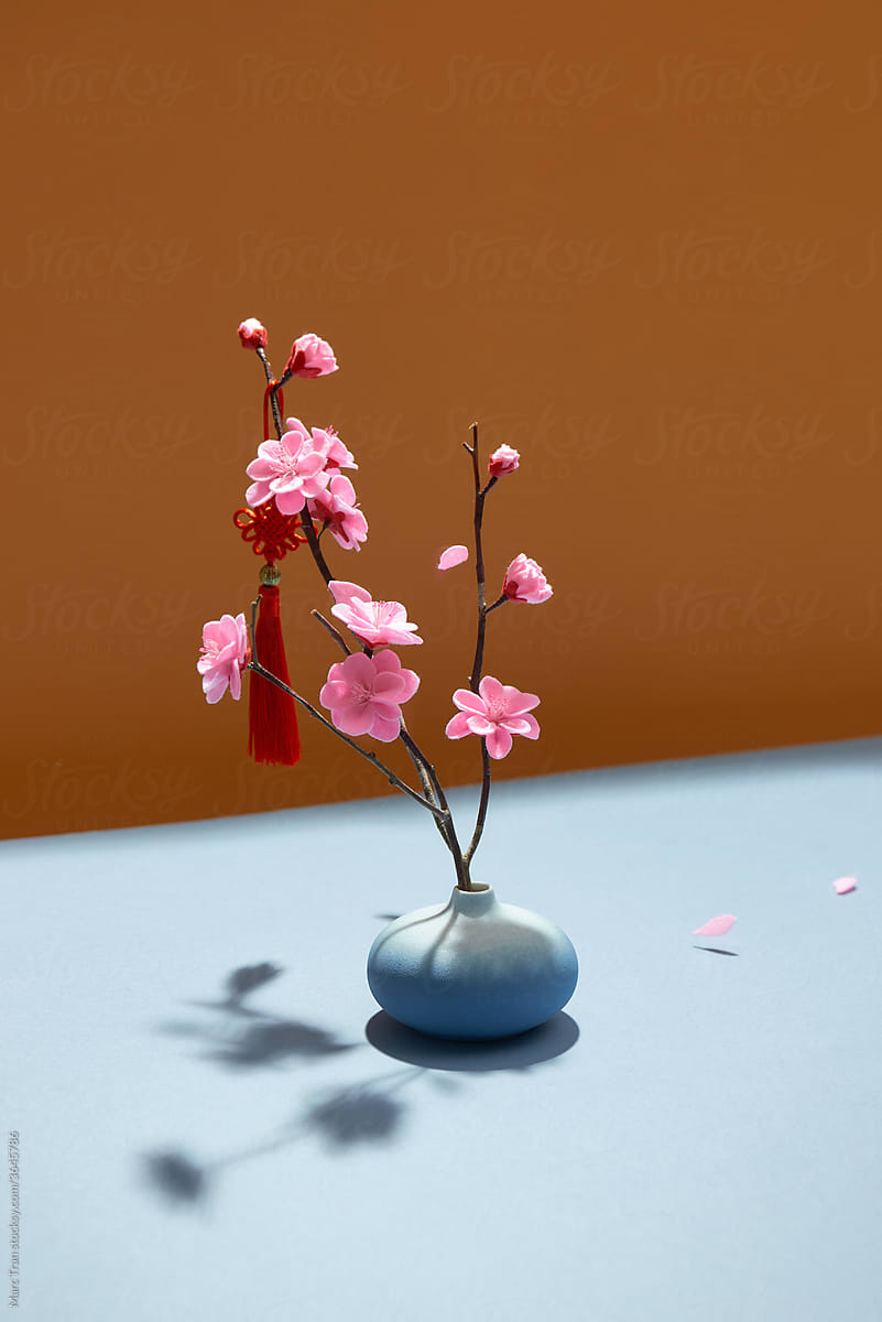 Vase with beautiful blossoming branches