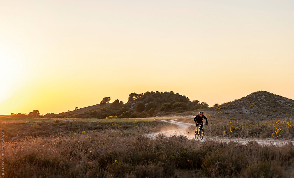 mountain biker at sunset