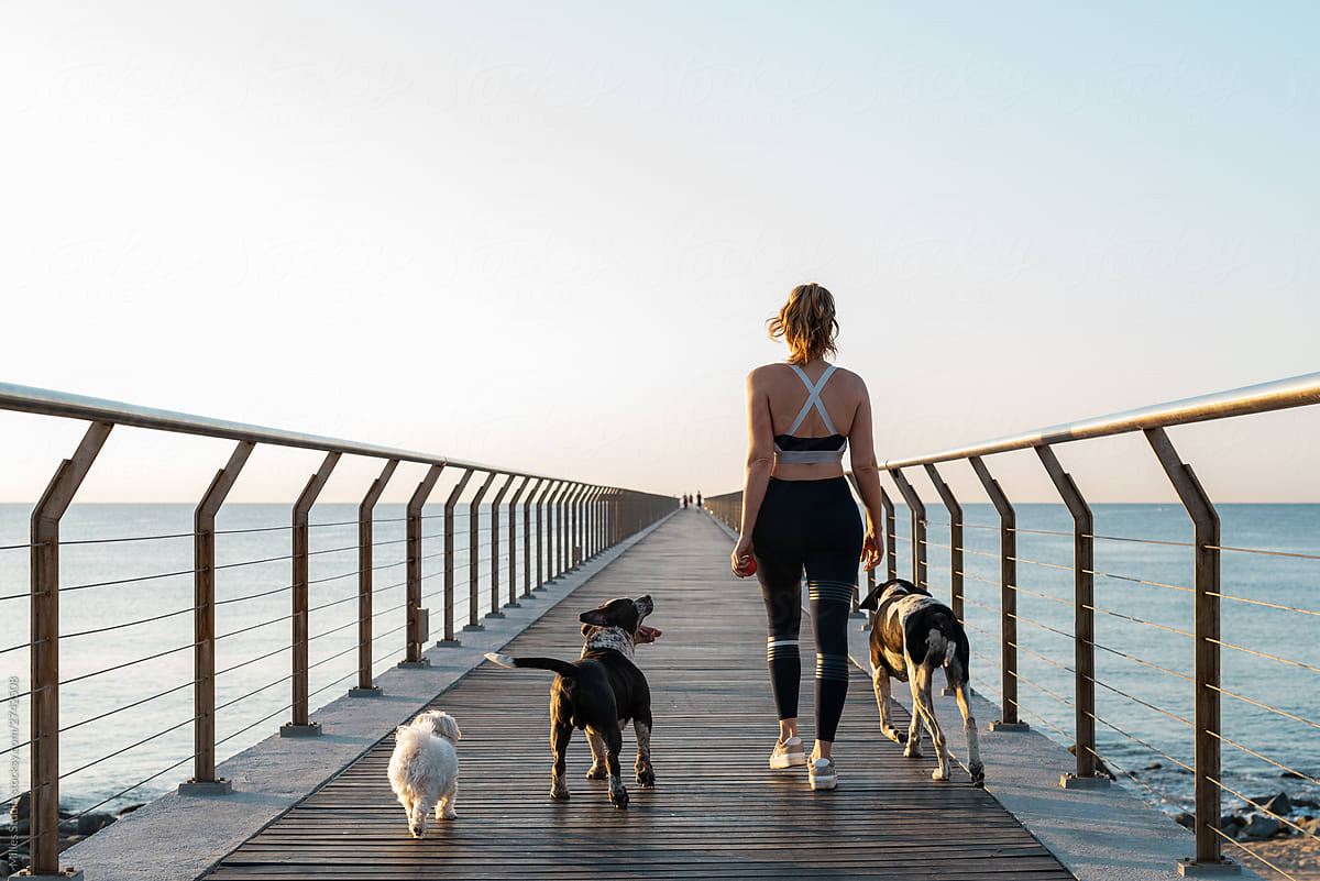 Anonymous athlete walking with dogs near sea
