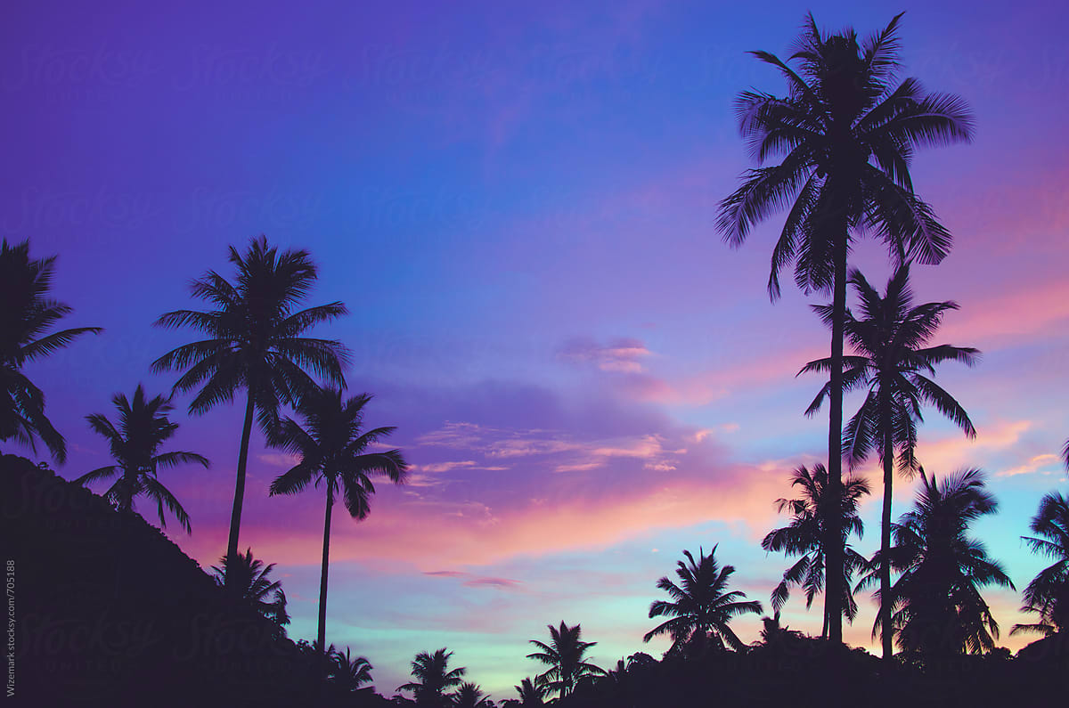 Summer silhouetted palm trees pattern during beautiful purple sunset and clouds behind the tropical island hills
