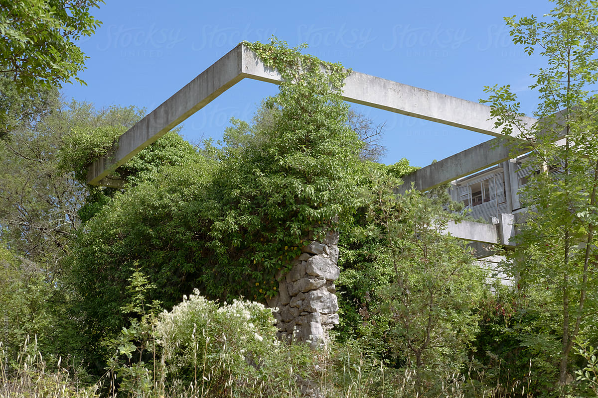 Overgrown trees and bushes around concrete rectangular building