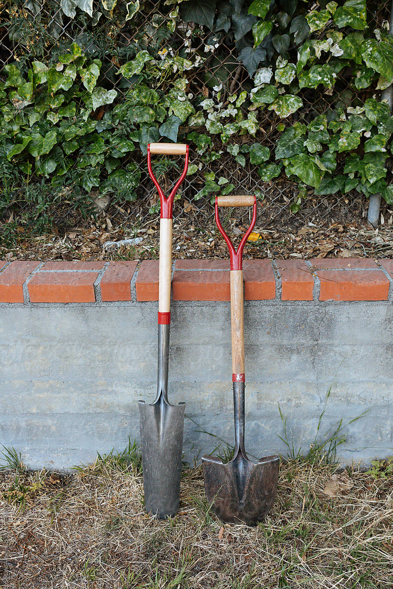 Two shovels lean against planter