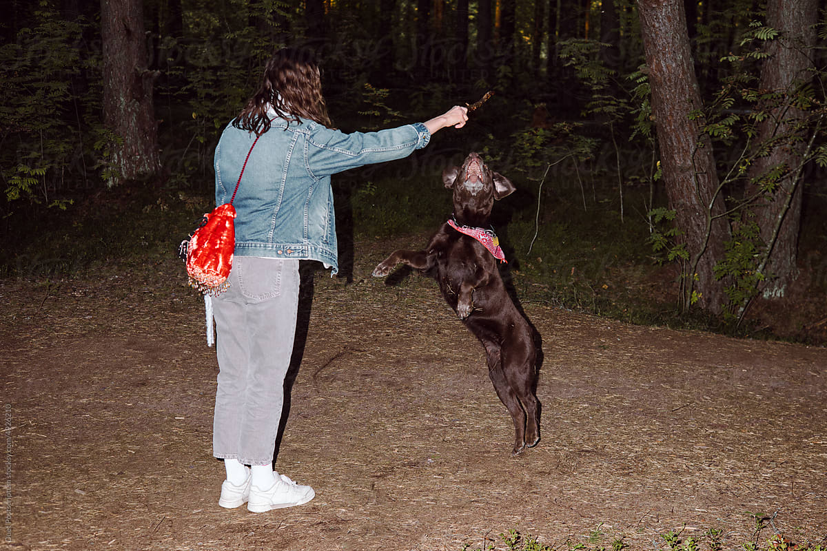 Young woman plays with her dog in nature park area.