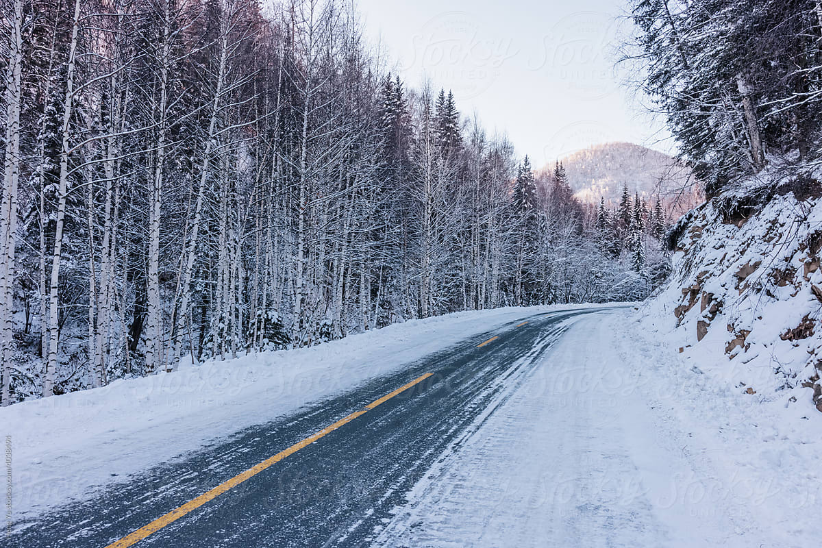 Road, snow, and forest