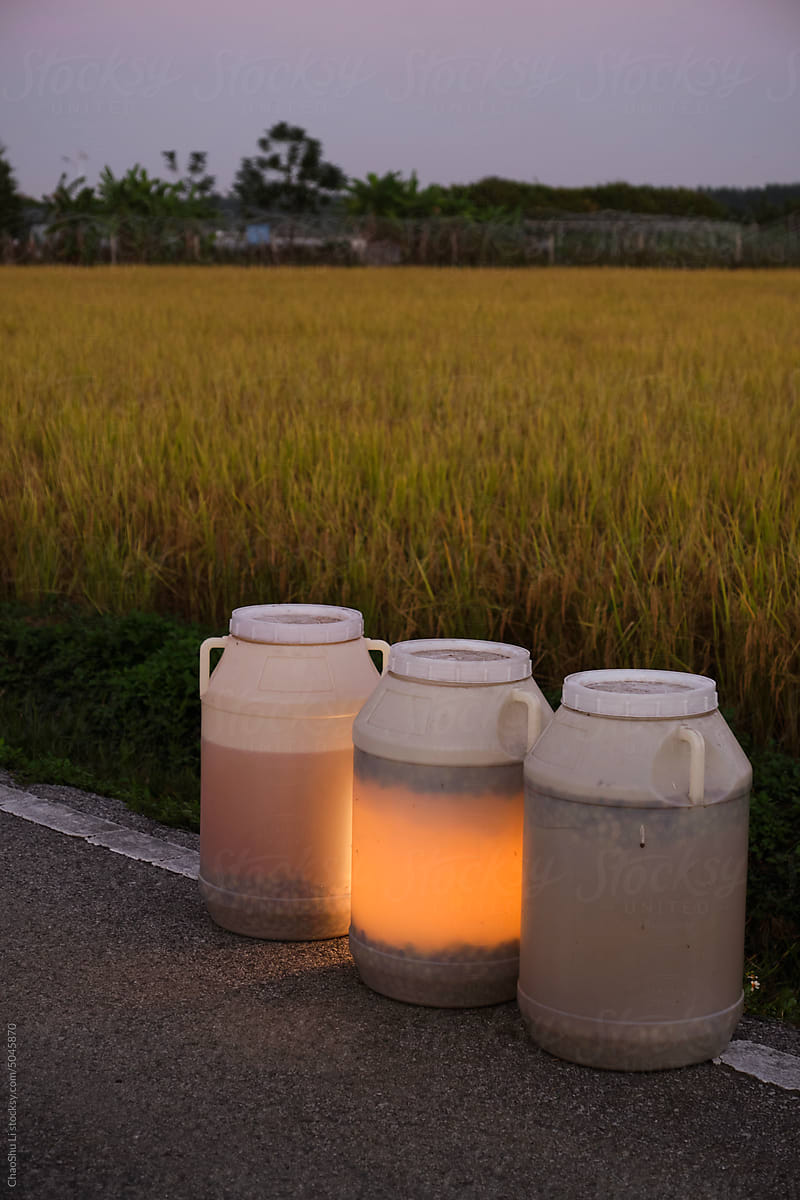 Closeup of barrels with enzymes. for watering rice fields