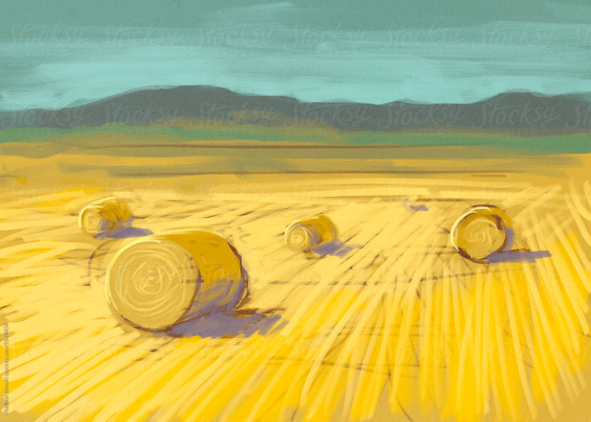 Sunny field and bales of hay