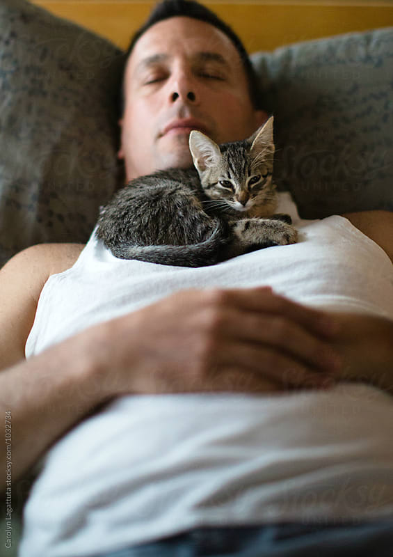 Man and kitten napping togther