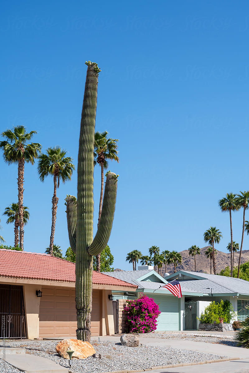 Midcentury Modern Homes in Palm Springs