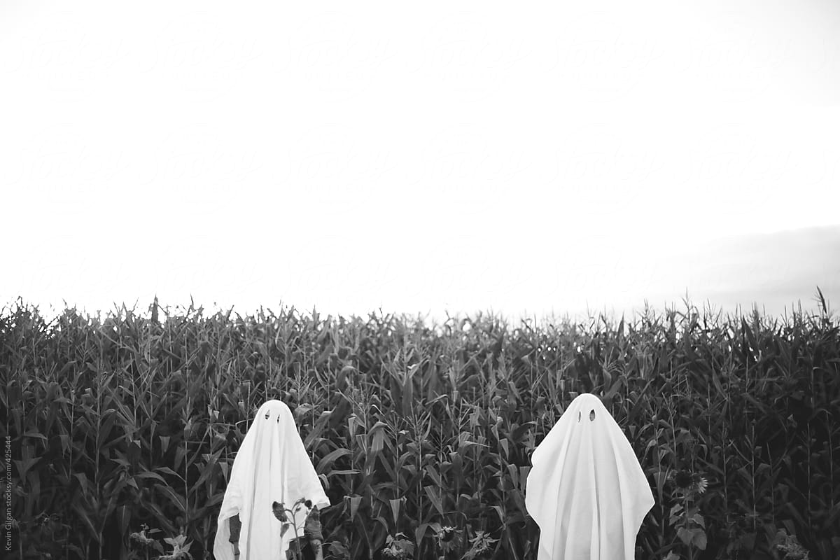 Field of Dreams editorial photo. Image of ghosts, cornfield