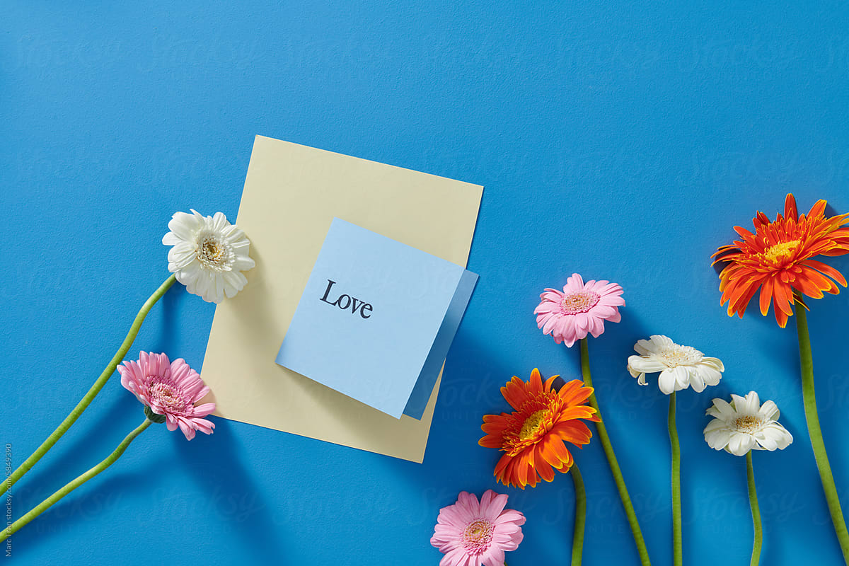Love card with flowers around over a blue background
