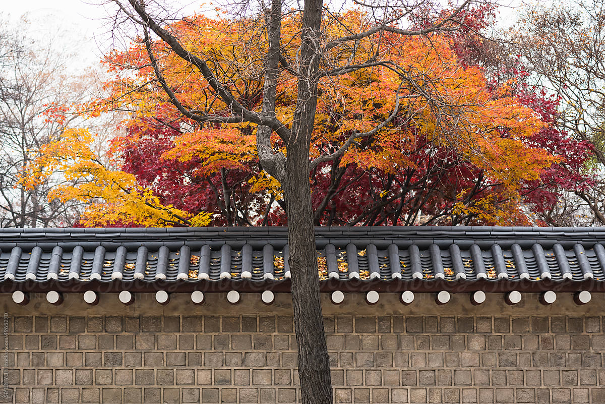 Autumn and Winter in South Korea