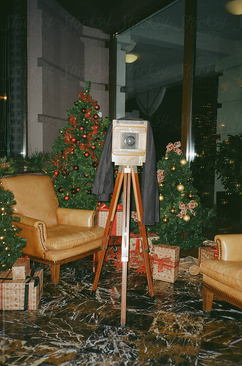 Old Monorail camera and Christmas tree
