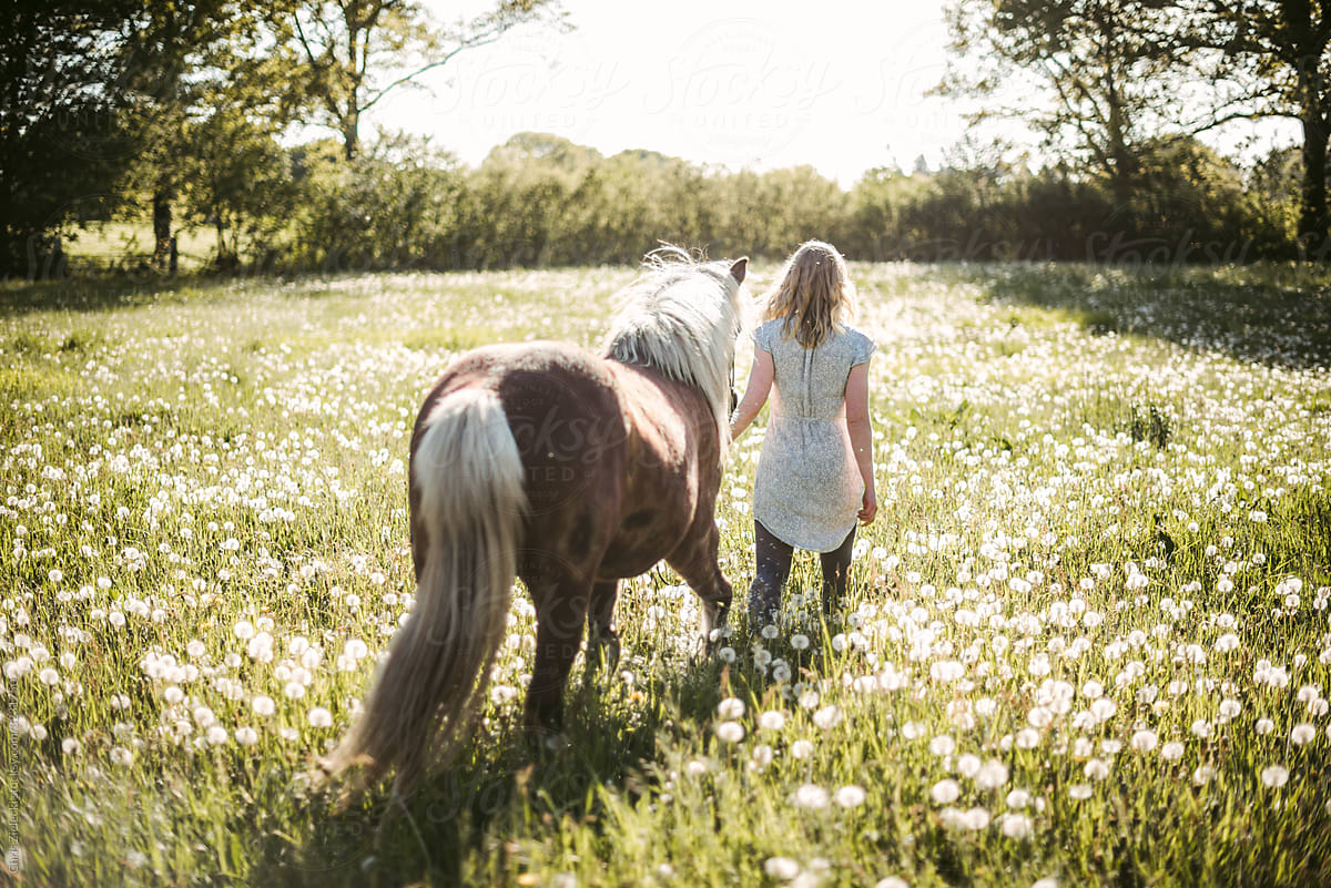 Young woman with purebred horse strolling in field
