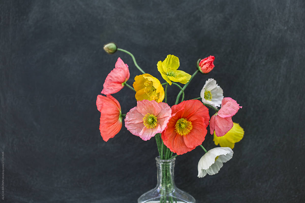 Bright and Colorful Poppy Bouquet