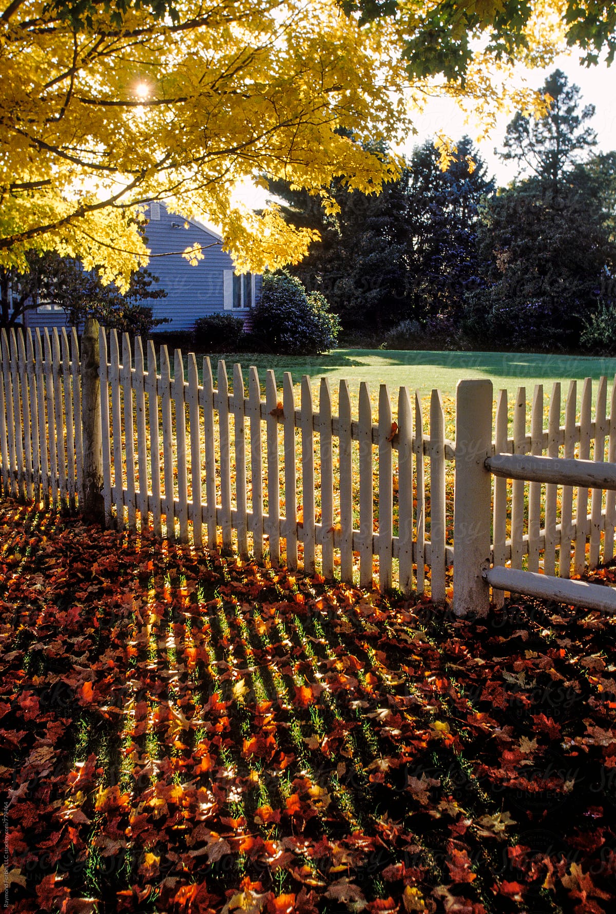 White picket Fence in Fall season with foliage