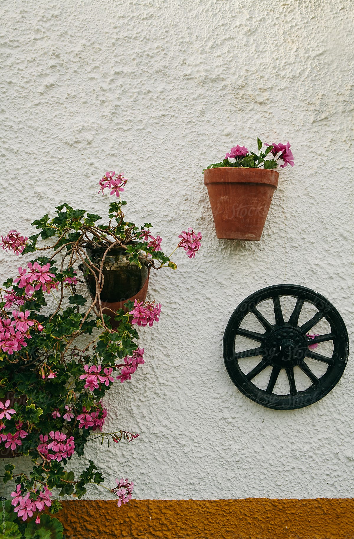 Plant pots mounted on a wall.