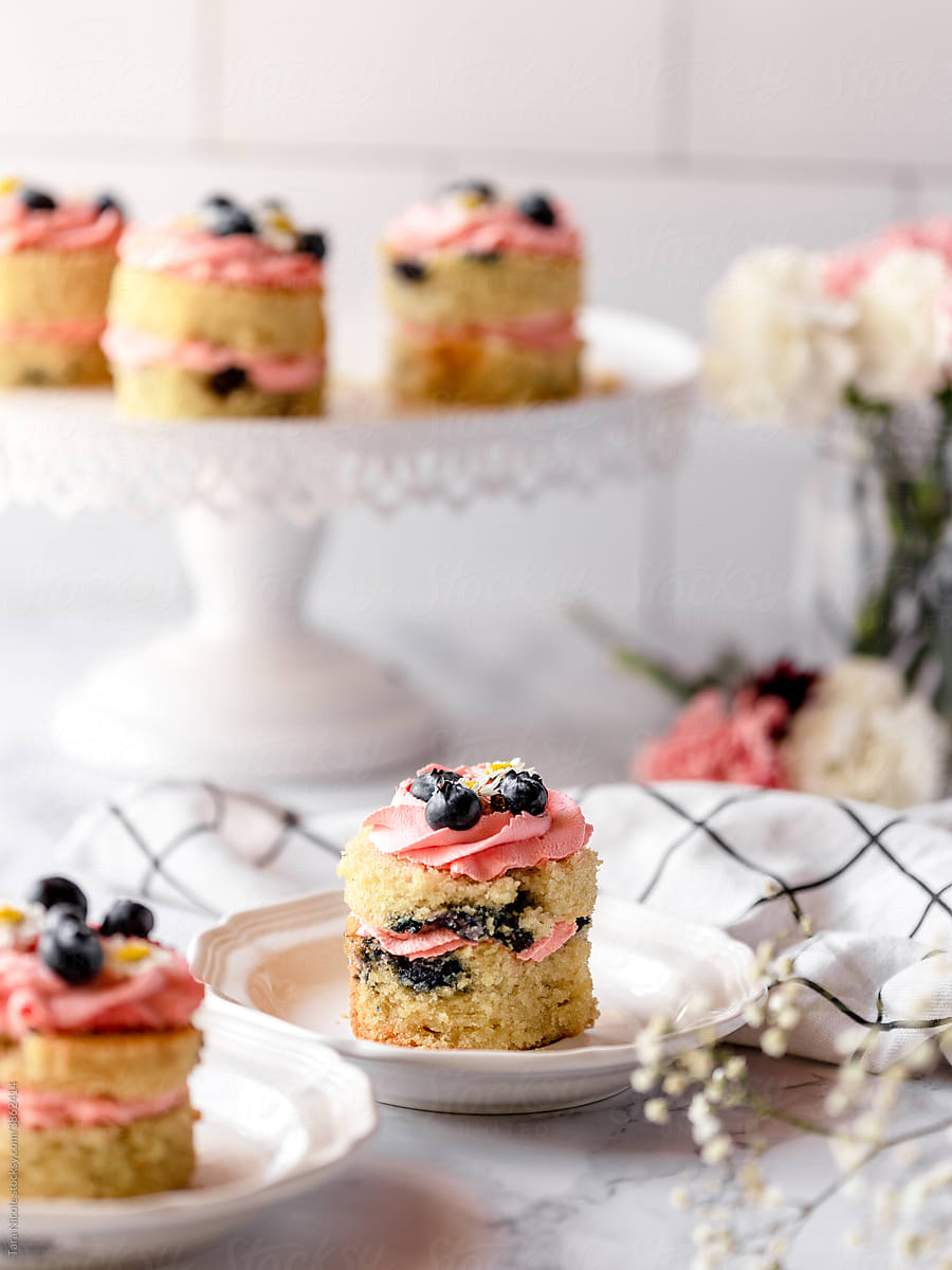 Blueberry Vanilla Mini Cakes