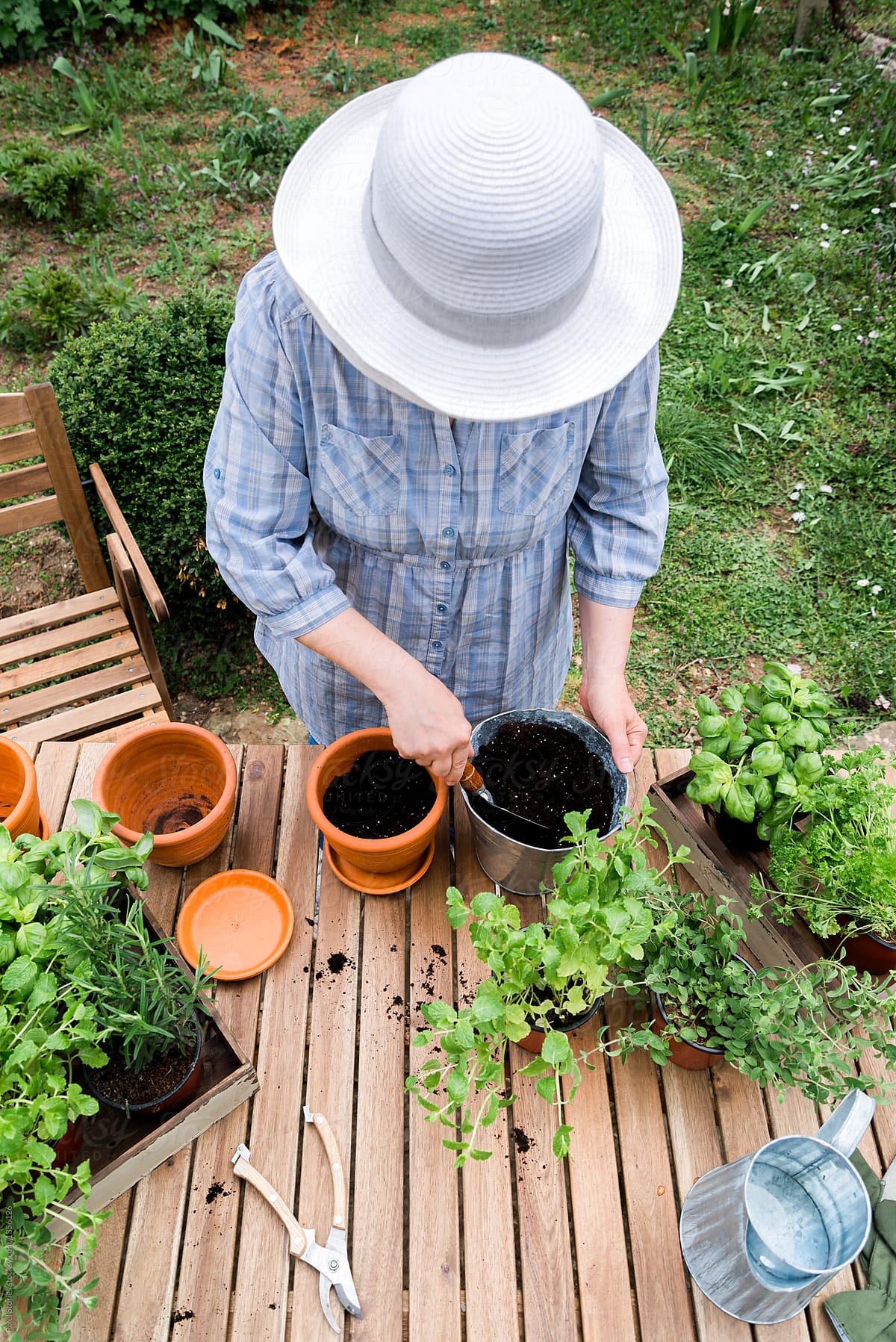 Woman transferring soil for replanting plant