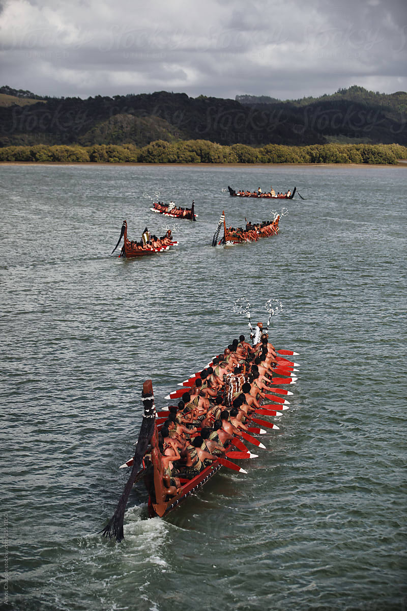 Maori war canoes paddling in New Zealand waterway.
