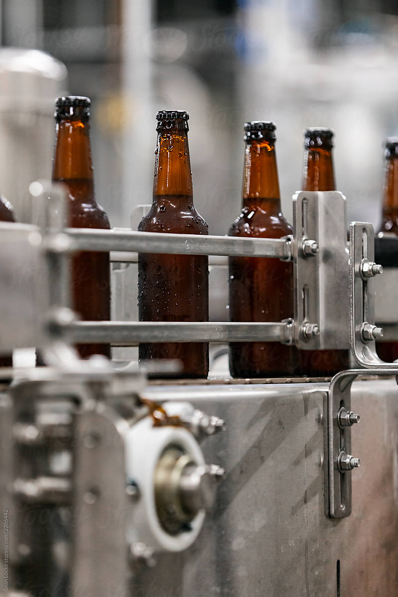 Brewery: Filled And Capped Beer Bottles On Production Line