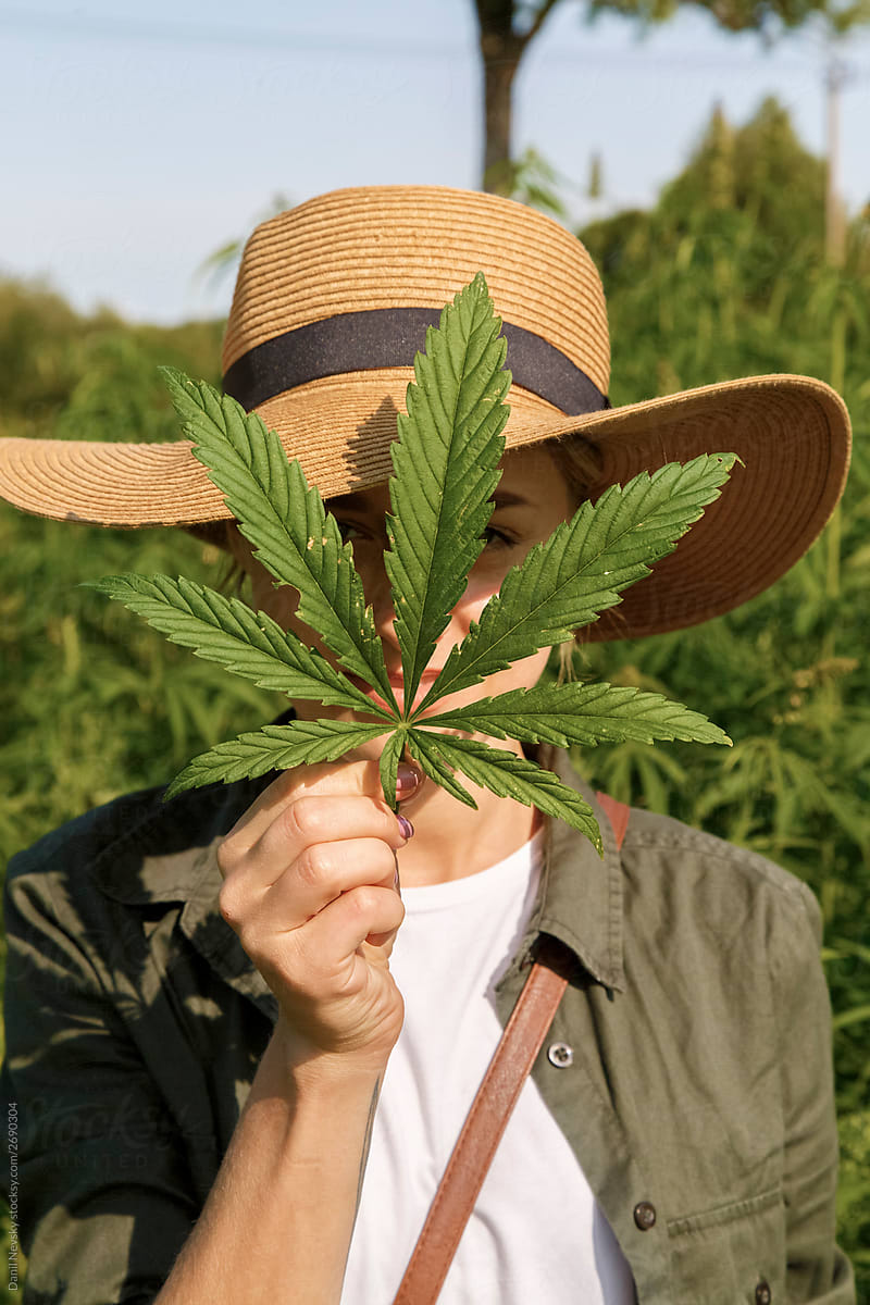 Woman covering face with cannabis leaf and looking at camera