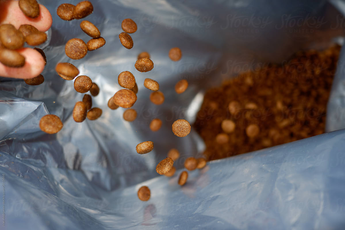 Grains Of Dry Balanced Pet Food In Bag