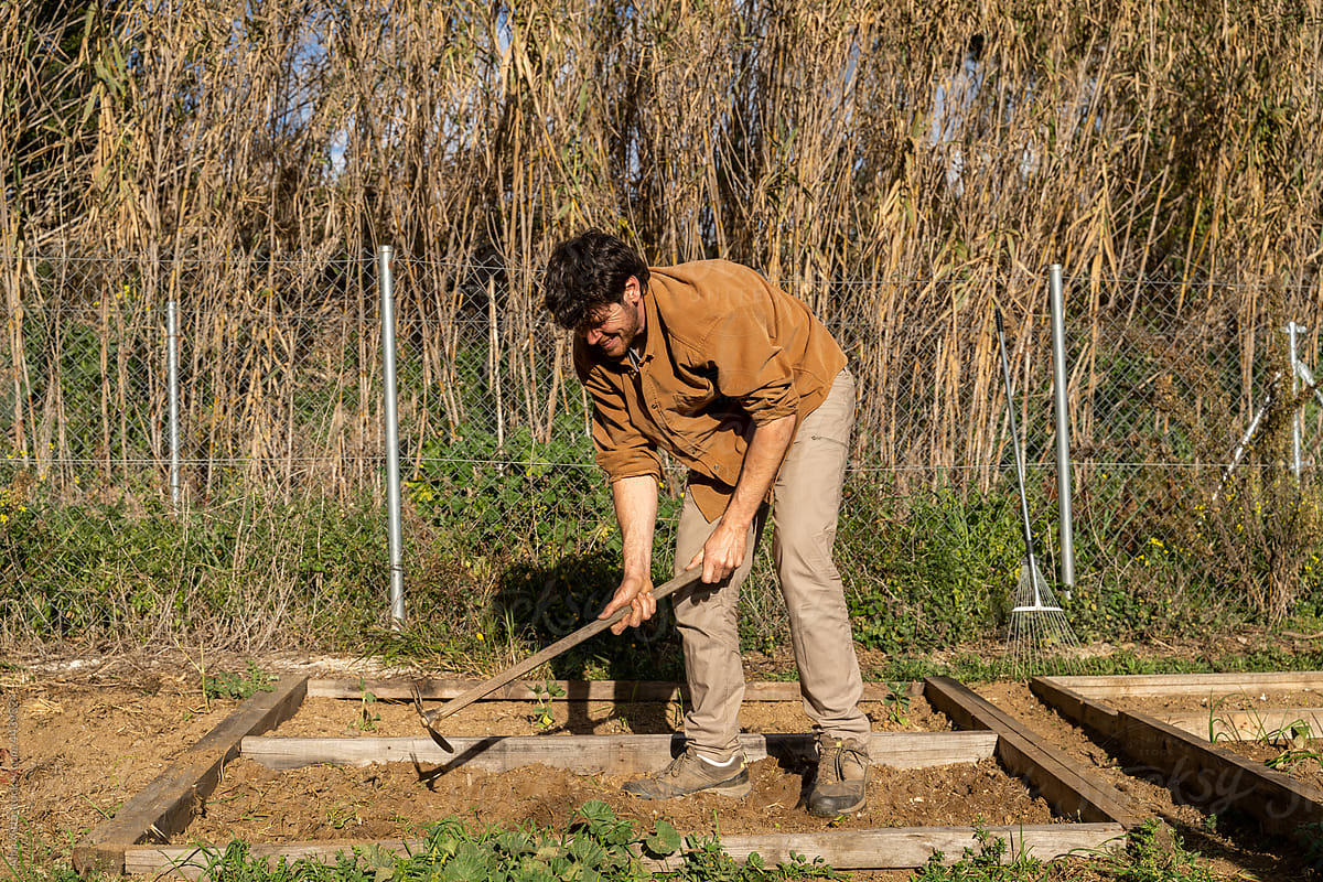 portrait of Young hardworking man planting vegetable plants on garden