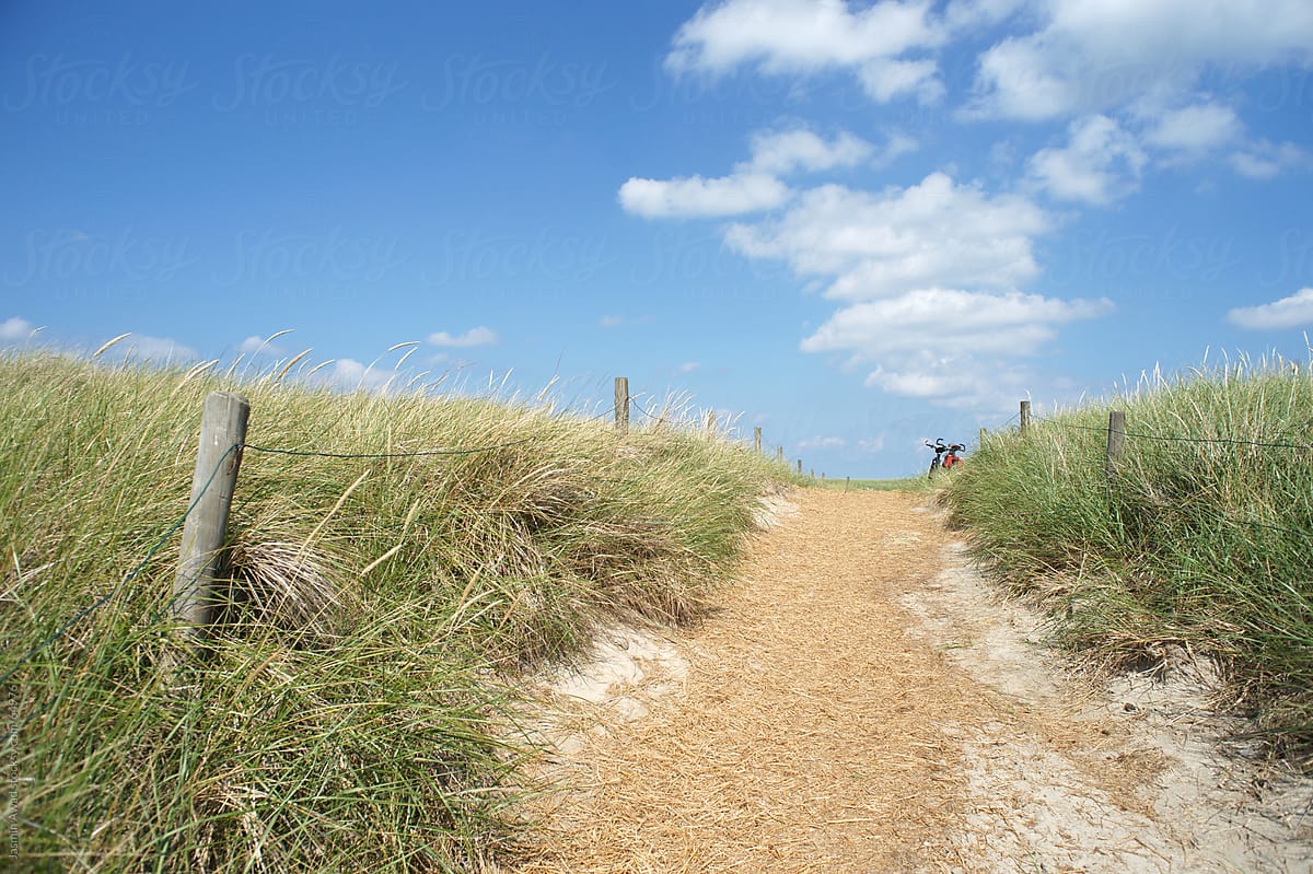 Summer Path in the Dunes, Island Juist Germany