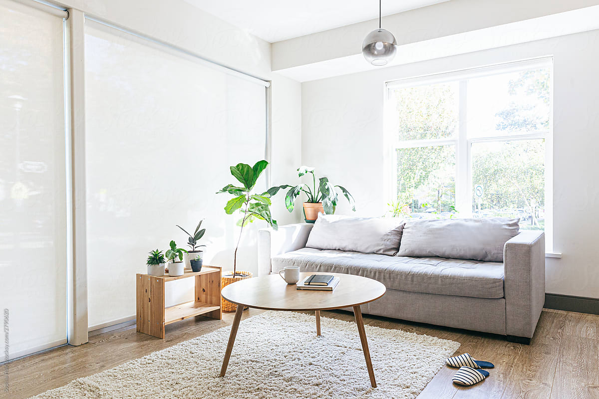 Modern living room with minimalist decor