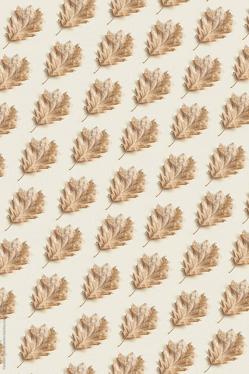 Seamless pattern of dry leaves