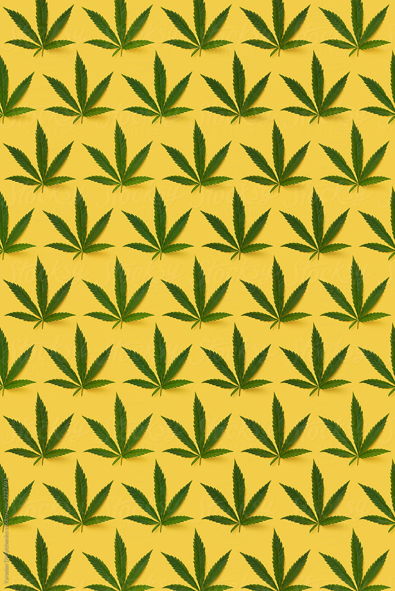 Vertical natural marijuana plant pattern.