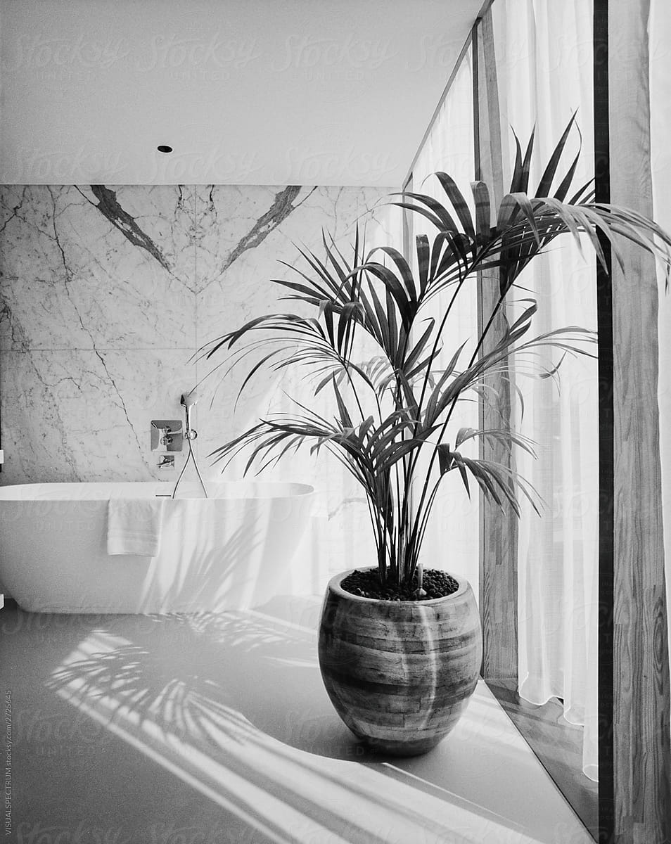 Bathtub in Elegant Bathroom